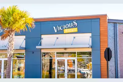 411 Talbot Drive, Summerville, SC 29486 - Photo 78