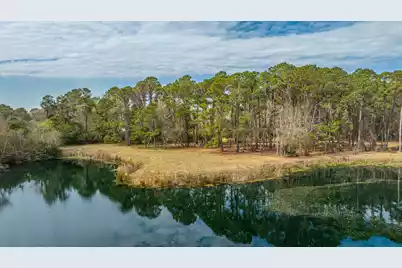 4297 Wild Turkey Way, Johns Island, SC 29455 - Photo 1