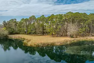 4297 Wild Turkey Way, Johns Island, SC 29455 - Photo 1