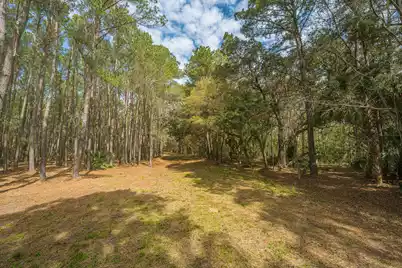 4297 Wild Turkey Way, Johns Island, SC 29455 - Photo 28