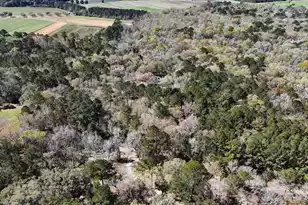 1901 Longcreek Rd, Wadmalaw Island, SC 29487 - Photo 96