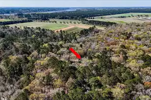 1901 Longcreek Rd, Wadmalaw Island, SC 29487 - Photo 76