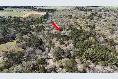 1901 Long Creek Road, Wadmalaw Island, SC 29487 - Photo 92