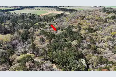 1901 Long Creek Road, Wadmalaw Island, SC 29487 - Photo 94