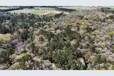 1901 Long Creek Road, Wadmalaw Island, SC 29487 - Photo 98