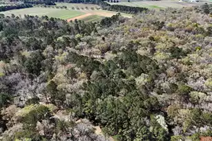 1901 Longcreek Rd, Wadmalaw Island, SC 29487 - Photo 98