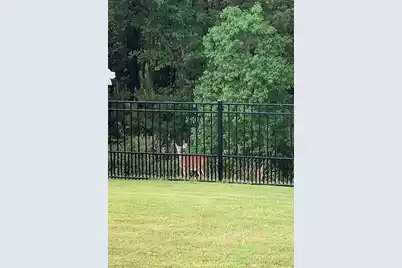 5065 Song Sparrow Way, Summerville, SC 29483 - Photo 34