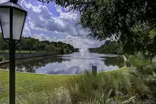 5065 Song Sparrow Wy, Summerville, SC 29483 - Photo 68