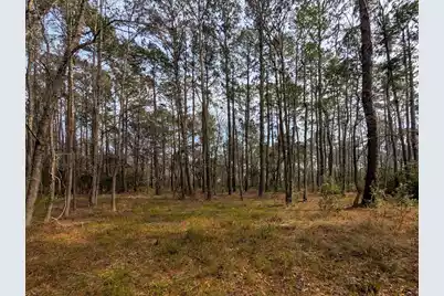 359 McClellan Avenue, McClellanville, SC 29458 - Photo 4