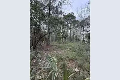 49 Seaside Lane, Edisto Island, SC 29438 - Photo 8