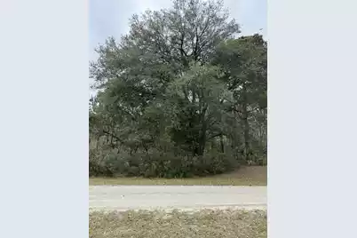 49 Seaside Lane, Edisto Island, SC 29438 - Photo 2