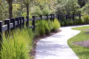 420 Swaying Pne Ln, Summerville, SC 29486 - Photo 26