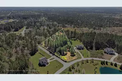 1313 Wood Sorrel Drive, Moncks Corner, SC 29461 - Photo 4