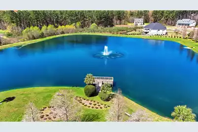 1313 Wood Sorrel Drive, Moncks Corner, SC 29461 - Photo 10