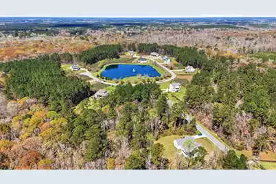 1313 Wood Sorrel Drive, Moncks Corner, SC 29461 - Photo 8