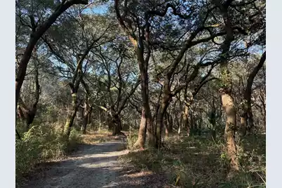 3170 Contentment Hall Road, Johns Island, SC 29455 - Photo 16