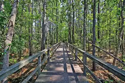 3250 Sand Marsh Lane, Mount Pleasant, SC 29466 - Photo 78