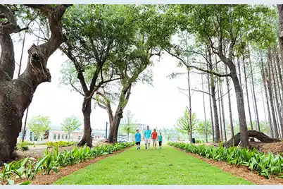 984 Scotch Bonnet Way, Summerville, SC 29485 - Photo 30