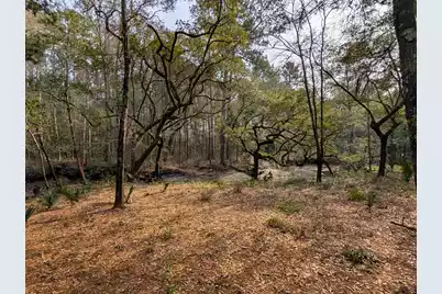 245 Warren Drive, McClellanville, SC 29458 - Photo 6