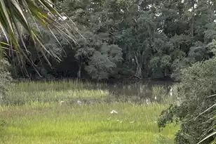 320 Longshore St #1025, Charleston, SC 29492 - Photo 24