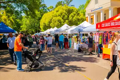 8001 Caswell Court, Ladson, SC 29456 - Photo 16