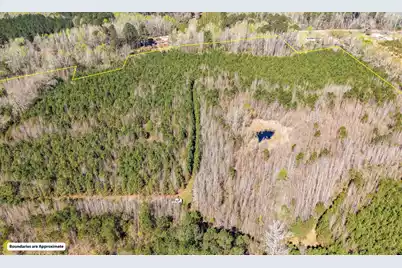 0 Buckhead Road, Smoaks, SC 29481 - Photo 10