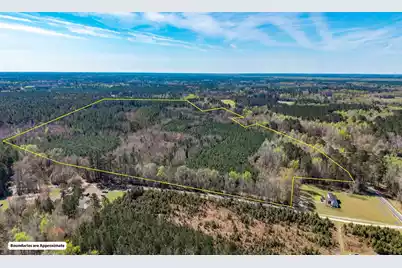 0 Buckhead Road, Smoaks, SC 29481 - Photo 12