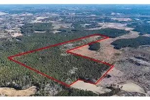 0 Gabes Pl, Reevesville, SC 29471 - Photo 1