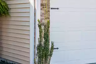 1476 Harbor Mist Ct, Charleston, SC 29492 - Photo 32