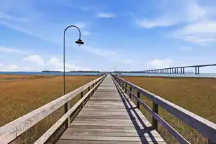 134 Fairbanks Oak Alley #403, Charleston, SC 29492 - Photo 40