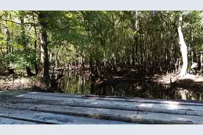 0 U.S. 521, Salters, SC 29590 - Photo 50