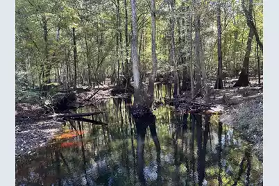 0 U.S. 521, Salters, SC 29590 - Photo 54