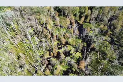 0 U.S. 521, Salters, SC 29590 - Photo 12