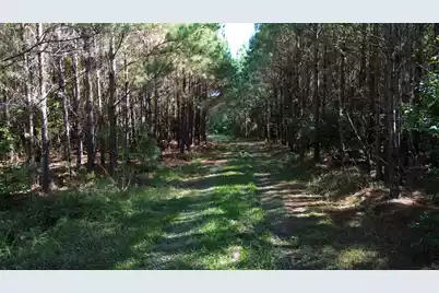 0 U.S. 521, Salters, SC 29590 - Photo 40