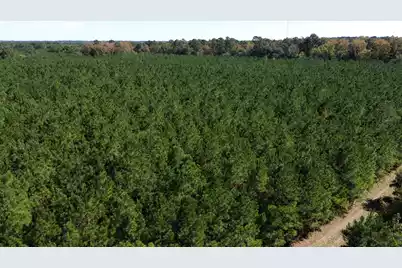 0 U.S. 521, Salters, SC 29590 - Photo 30