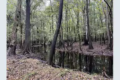 0 U.S. 521, Salters, SC 29590 - Photo 56