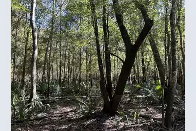 0 U.S. 521, Salters, SC 29590 - Photo 52