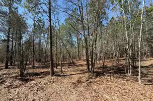 Bhl 9 Boise Cascade #Bhl 9, Bethune, SC 29009 - Photo 24