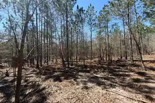 Bhl 9 Boise Cascade #Bhl 9, Bethune, SC 29009 - Photo 28