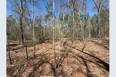 Bhl 9 Boise Cascade #Bhl 9, Bethune, SC 29009 - Photo 18