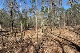 Bhl 9 Boise Cascade #Bhl 9, Bethune, SC 29009 - Photo 18