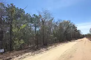 Bhl 9 Boise Cascade #Bhl 9, Bethune, SC 29009 - Photo 44