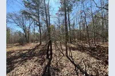 Bhl 9 Boise Cascade #Bhl 9, Bethune, SC 29009 - Photo 36