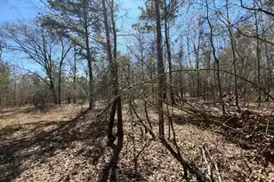 Bhl 9 Boise Cascade #Bhl 9, Bethune, SC 29009 - Photo 36