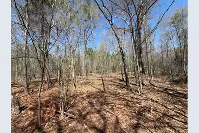 Bhl 9 Boise Cascade #Bhl 9, Bethune, SC 29009 - Photo 16