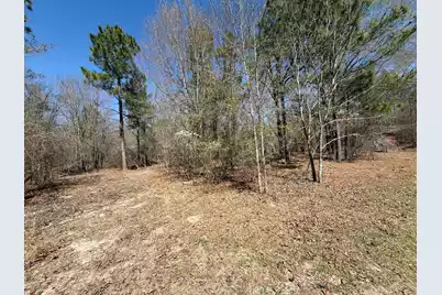 Bhl 9 Boise Cascade #Bhl 9, Bethune, SC 29009 - Photo 6