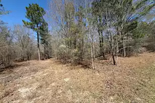 Bhl 9 Boise Cascade #Bhl 9, Bethune, SC 29009 - Photo 6