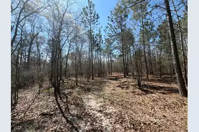 Bhl 9 Boise Cascade #Bhl 9, Bethune, SC 29009 - Photo 26