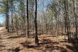 Bhl 9 Boise Cascade #Bhl 9, Bethune, SC 29009 - Photo 4