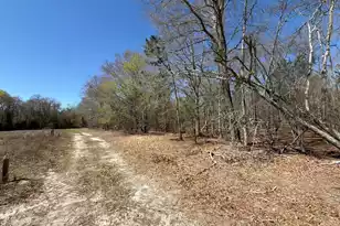 Bhl 9 Boise Cascade #Bhl 9, Bethune, SC 29009 - Photo 12